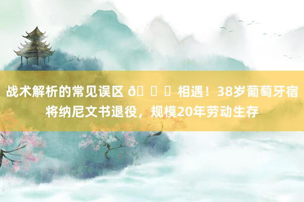 战术解析的常见误区 👋相遇！38岁葡萄牙宿将纳尼文书退役，规模20年劳动生存